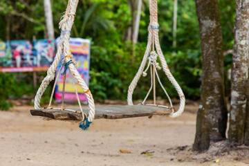 swing suspended on a tree outdoor recreation sunny day. Beach tropical island swing