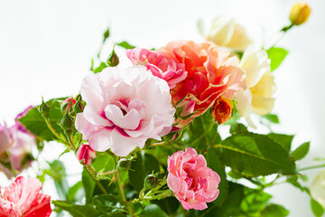 Obraz na płótnie Canvas colorful roses in the vase