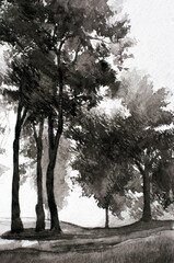 Sketch with a black and white landscape of trees in the park, painted in watercolor on paper. Modern Art.