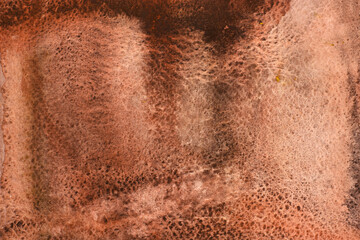 Brown coloured rust natural texture on rough paper. Abstract background.