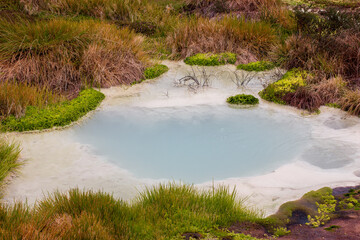 untamed sulfured hot springs at purace paramo