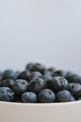 Macro of freshly picked blueberry with water drops in white bowl on blue background. Sweet ripe black  berries close up on white background