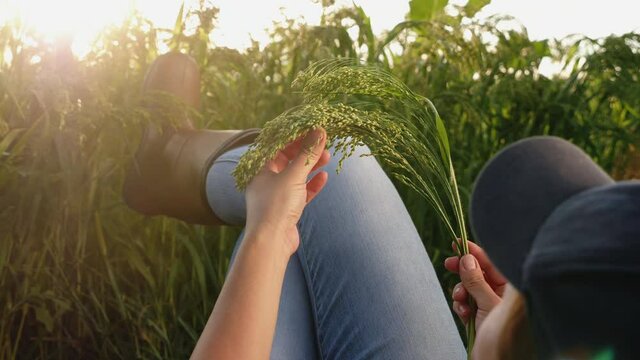 Farmer girl resting lying on the grass in the field examines a sprig of growing ripening millet