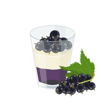 Dessert with black currant berries in a glass. Blackcurrant jelly, whipped cream and berries. Vector illustration.
