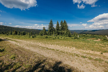 A path with trees on the side of a dirt field