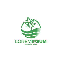 cannabis leaf logo design vector template