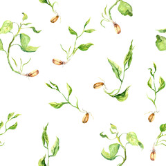 Green sprouts with leaves, seeds with sprig. Seamless natural pattern. Spring watercolor