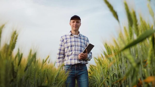 Successful young farmer walking along a wheat field with digital tablet in hand, happy looking into the camera. Slow-motion shot