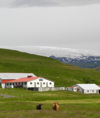 Fototapeta na wymiar Bauernhof auf Island