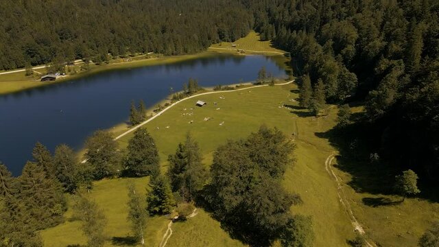 Reveal of the mountain lake in the Bavarian Alps. Aerial view of the so called "Ferchensee" lake, surrounded by small hiking trails and the mountain scenery