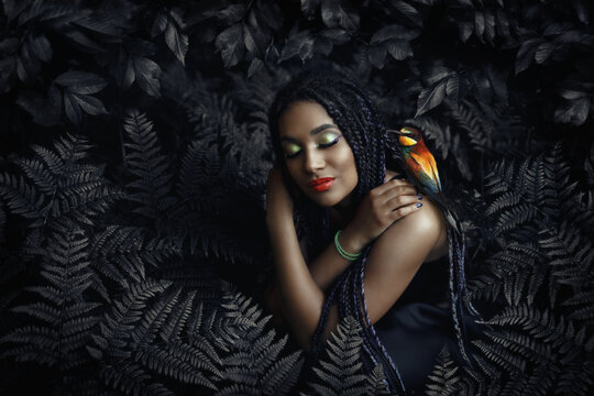 Portrait of a young beautiful girl with box braids hairstyle on the dark nature background