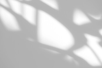 Blurred overlay effect for photo and mockups. Organic drop diagonal shadow of art deco stained glass window on a white wall.