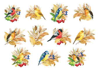Obraz premium composition with birds bullfinches, titmice, canaries, robin. Autumn leaves and herbs. isolated background, watercolor 