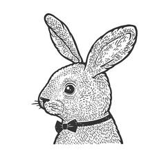 Rabbit in bow tie sketch raster illustration