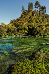 blue spring, new zealand