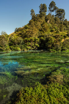 blue spring, new zealand