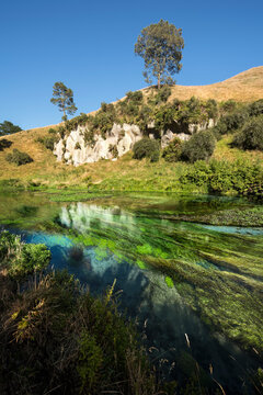 blue spring, new zealand