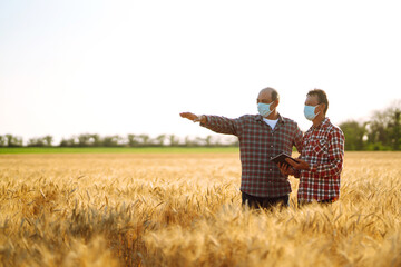 Two farmers in sterile medical masks with a tablet in their hands in a wheat field during pandemic. Agro business. Harvesting. Covid-2019.