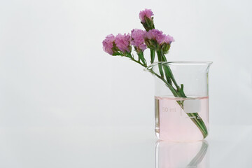purple natural flower with science beaker in white cosmetic laboratory background.