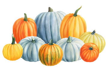 Composition of pumpkins on isolated white background, watercolor illustration, clipart, hand drawing