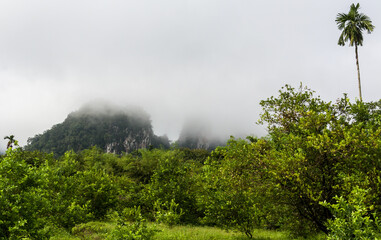 Fototapeta na wymiar Khao Sok (Thailand) is a small village in the middle of a jungle. Surrounding it is vast areas of jungle and smaller mountain peaks. In the morning these are often covered in fog.