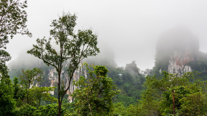 Khao Sok (Thailand) is a small village in the middle of a jungle. Surrounding it is vast areas of jungle and smaller mountain peaks. In the morning these are often covered in fog.