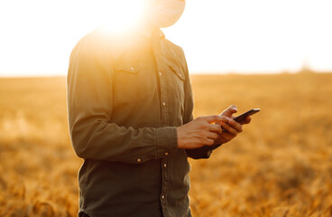 Farmer in sterile medical masks with phone in their hands in a wheat field during pandemic. Agro...