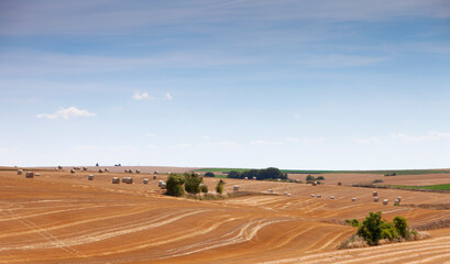Fototapeta na wymiar straw bales in rolling hills of northern france under blue sky