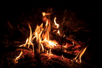 Bright burning fire in front of black background