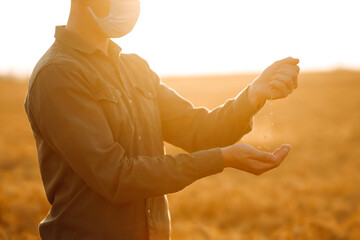 Plakat The farmer pours the grain on a wheat field at sunset. Man wearing face mask, protect from infection of virus, pandemic, outbreak and epidemic of disease on quarantine.
