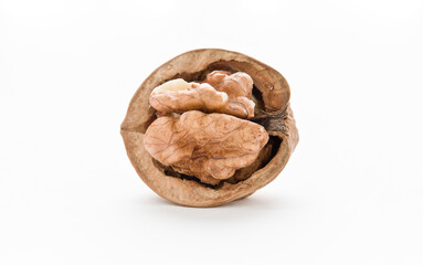 Walnut (fruit), with white background