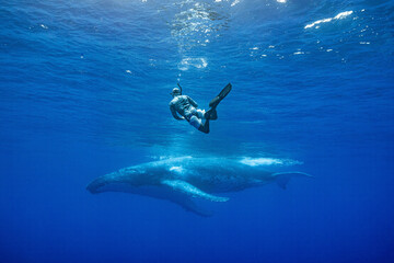 Obraz na płótnie Canvas swimmer and whale