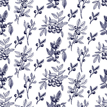 Blueberry vector seamless pattern. Isolated berry branch sketch on white background. Summer fruit engraved style illustration. Detailed hand drawn vegetarian food. Great for label, poster, print