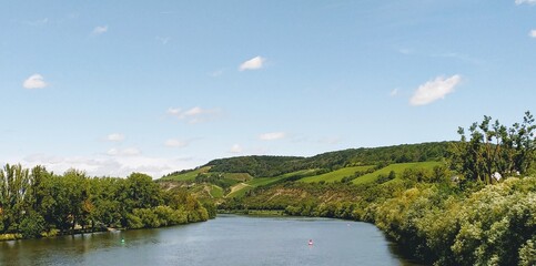 Weinlage Veitshöchheimer Sonnenschein am Main