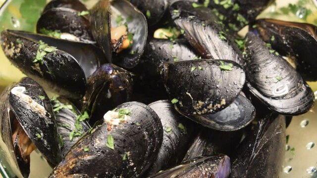 Impepata di cozze ft0207_1027 Mussels salad 
