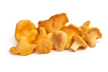 Chanterelle mushrooms, isolated on white background