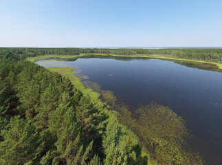 Fototapeta na wymiar Aerial photo panorama of forest boggy lake in the Karakansky pine forest near the shore of the Ob reservoir.