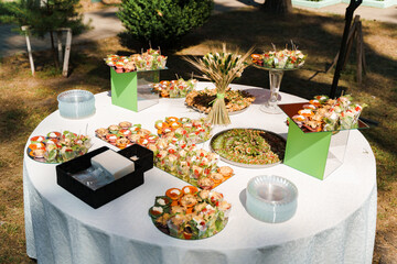 Meat canapes on white table on catering for company. Starter food for beginning of wedding ceremony. Advert for restaurants and cafe.