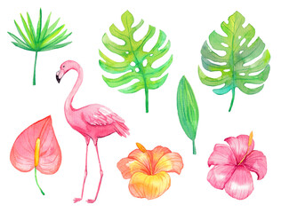 Obraz premium Akwarela tropikalny zestaw liści i kwiatów na białym tle. Ręcznie rysowane ilustracja na białym tle.