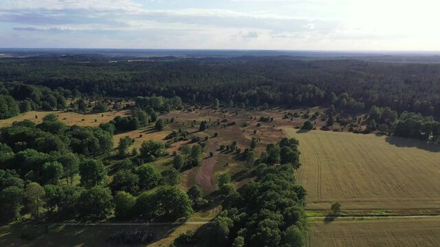 Drone flight over Lueneburg Heath , Germany