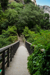 Small empty wooden bridge located in the middle of nature with green leafy trees
