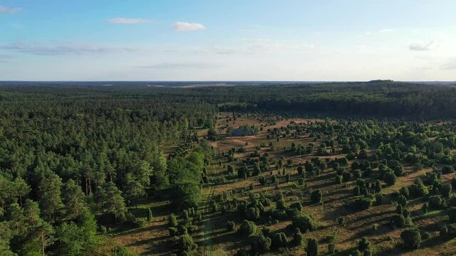 Drone flight over Lueneburg Heath , Germany