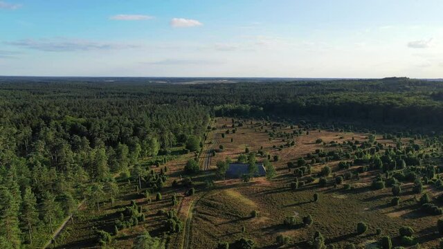 Drone flight over Lueneburg Heath , Germany