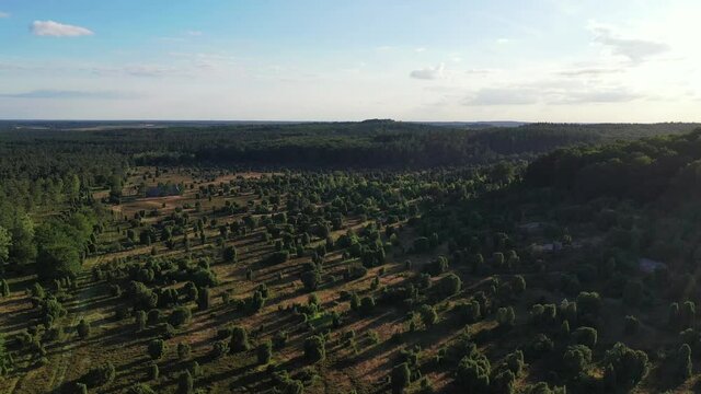 Drone flight over Lueneburg Heath in Germany
