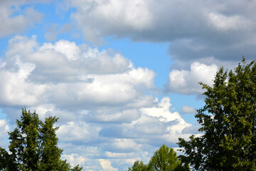 White clouds float across the blue sky over the forest and field. Beautiful atmospheric phenomenon. Natural horizontal background.