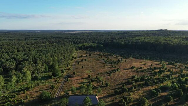 Drone flight over Lueneburg Heath in Germany