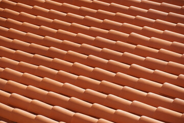 Obraz na płótnie Canvas red tile roof