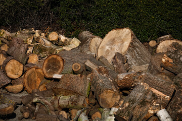 geschnittene Holzklötze