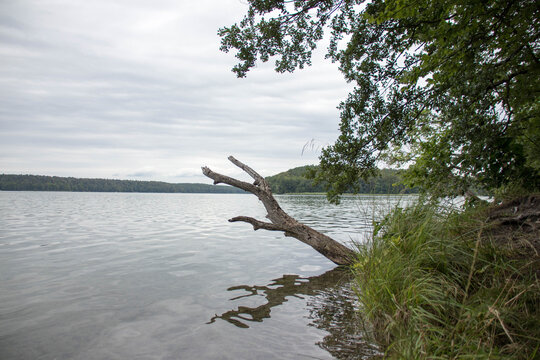 Stechlinsee