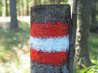 Unterwegs - Markierung weist Wanderern den Weg